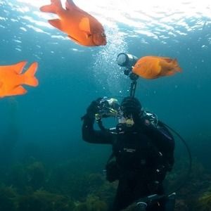 Meet your Posher, Gina